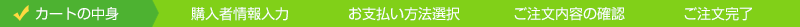 Cart_navi01